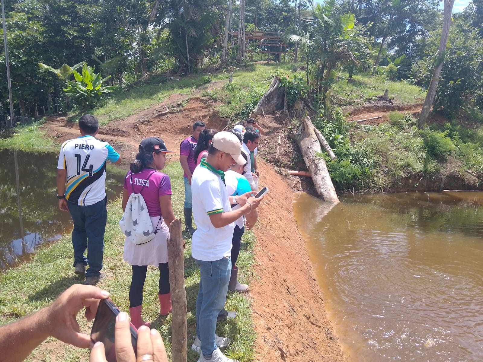 PROYECTO PISCIGRANJA